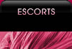 Click here for midlands and Feline Escorts Nottingham